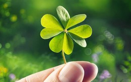 Ngành “biến người thường thành tỷ phú” ở 21 tỉnh phía Nam: Hàng triệu người tham gia chi ra số tiền hơn 140.000 tỷ, nhận về 68.000 tỷ, không ít người đổi đời