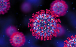 Biến chủng COVID-19 mới xuất hiện ở TP.HCM: Vì sao lây lan nhanh bất thường?