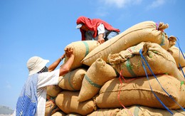 1 nông sản Việt Nam bỗng được Trung Quốc tăng mạnh nhập khẩu: 4 tác dụng đáng ngạc nhiên