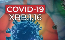 COVID-19 vẫn diễn biến khó lường, Bộ Y tế cảnh báo nguy cơ gia tăng ca mắc