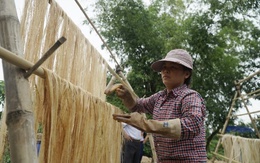 Thân cây bị bỏ đi biến thành "mặt hàng xanh" triệu đô, Việt Nam xuất khẩu tốp đầu thế giới