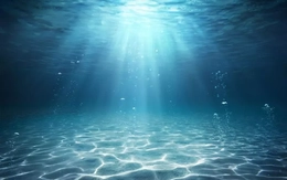 Khám phá kinh ngạc thành phố 140.000 năm tuổi ẩn dưới đáy đại dương