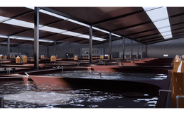 Mỹ, Trung Quốc tăng cường chốt đơn một mặt hàng quan trọng của Việt Nam: Thu hơn 1,3 tỷ USD kể từ đầu năm, nước ta là thế lực xuất khẩu top 2 toàn cầu