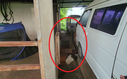 Đêm không thấy chồng về nhà, sáng hôm sau vợ ra gara kiểm tra thì bắt gặp cảnh tượng ám ảnh