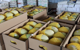 Sau sầu riêng và thanh long, thêm một cuộc đua trái cây mới tại thị trường Trung Quốc: Việt Nam vừa vượt Thái Lan chiếm 97% thị phần, Pakistan chuẩn bị gia nhập