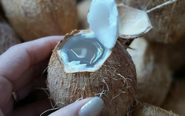 Việt Nam có 2 loại “nước trường thọ”, giá rẻ bèo nhưng bổ ngang nhân sâm, tổ yến: Người mắc Covid-19 nên bổ sung để tăng miễn dịch, phục hồi nhanh