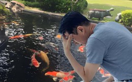 Cho hàng xóm gửi nhờ cá cảnh, 3 ngày sau cả đàn cá quý trị giá 930 triệu đồng lăn ra chết, người đàn ông khởi kiện, tòa tuyên bố: Lỗi tại người gửi