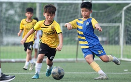 Đại gia V.League tổ chức sự kiện đặc biệt, "chắp cánh" phát triển bóng đá Việt Nam