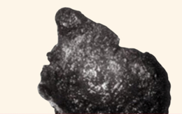 Xá lợi trái tim bất diệt của Bồ tát Thích Quảng Đức được bảo quản ra sao?