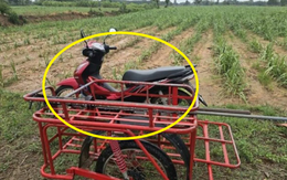 Không nghe lời khuyên của vợ, nhất quyết đi ra đồng lúc mưa gió, người đàn ông gặp cái kết bi thảm