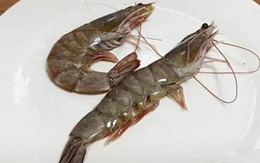 Đi chợ thấy tôm thẳng - tôm cong: Cao thủ ẩm thực chỉ chọn đúng một loại tinh hoa!