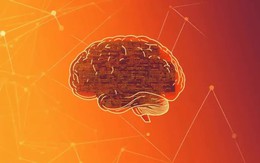 700.000 cuộc trò chuyện hé lộ bí mật bất ngờ: Một AI đang có “lương tâm riêng” và sẵn sàng cãi lại người dùng