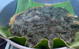 2 loại rau ít "ngậm" thuốc trừ sâu nhất chợ, nhất là cái số 1 ở quê mọc đầy