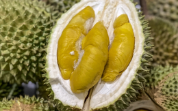 Một đối thủ sầu riêng của Việt Nam tại Trung Quốc tự tin tăng trưởng 2 chữ số bất chấp mất mùa: Giá tăng mạnh do khan hiếm, tuyên bố ‘chúng tôi không cạnh tranh với Thái Lan’