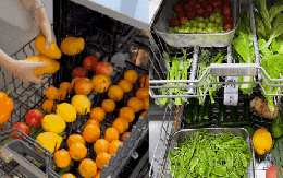 23,5 triệu người tranh cãi dữ dội về hành động của người phụ nữ dùng máy rửa bát để làm việc này