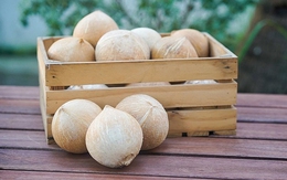 Loại quả tỷ đô của Việt Nam được người Mỹ và Trung Quốc đặc biệt yêu thích: Có thể hạ huyết áp, bổ tim