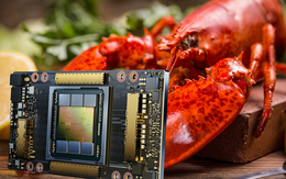 Kinh ngạc cách thức để tuồn chip AI vào Trung Quốc: Tận dụng cả tôm hùm sống để giấu GPU bên trong