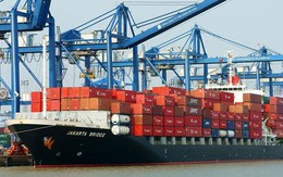 Mỹ vừa chốt đơn hơn 1 tỷ USD một 'mỏ vàng' của Việt Nam: Thuế nhập khẩu 25%, nước ta là ông lớn thứ 3 thế giới