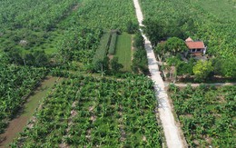 Hà Nội đề xuất cho xây công trình tạm trên đất bãi ven sông