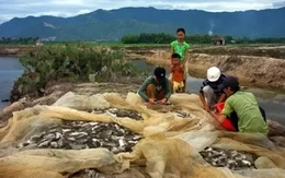 Australia hỗ trợ Việt Nam hướng tới nông nghiệp bền vững