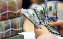 Vì sao đồng đô la suy yếu mạnh trên thị trường quốc tế nhưng vẫn tăng giá so với VND?
