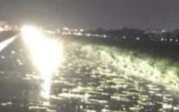 Nghi máy bay trượt khỏi đường băng Tân Sơn Nhất khi hạ cánh