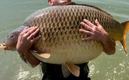 Người đàn ông sốc nặng khi bắt được con cá chép khổng lồ nặng 48kg