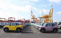 5 năm nữa, VinFast muốn sản xuất gần 2.800 xe/ngày