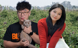 Học sinh chuyên Toán đi bán tạp hóa, cử nhân nuôi lợn: Đến lúc Gen Z làm tất cả cũng chỉ vì… mình