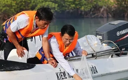 'Tuyệt chiêu' tái tạo nguồn lợi thủy sản trên vịnh Nha Trang