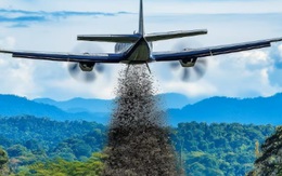 Mỹ tăng cường thả ruồi từ mức 20 triệu lên 100 triệu con xuống Panama mỗi tuần: Lý do thực sự là gì?