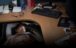 Làm người không muốn, chỉ muốn thành "người chuột": Cuộc đời này bạc lắm, cố gắng để làm gì?