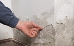 Cách xử lý tường bị ẩm mốc, bong tróc