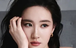 Lưu Diệc Phi bị sàm sỡ
