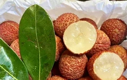 Vải thiều Trung Quốc 'đổ bộ' chợ Việt, giá cao không tưởng