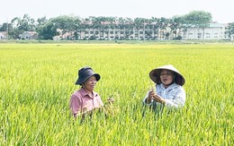 Ưu tiên đầu tư công nghệ sinh học trong nông nghiệp