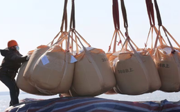 Một quốc gia bất ngờ dừng sản xuất phân bón do ảnh hưởng từ Israel: Phụ thuộc đến 60% khí đốt, nguồn cung năng lượng bị đe dọa