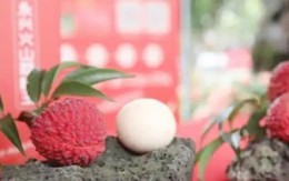 Bỏ 240 triệu đồng chỉ để mua… một quả vải thiều