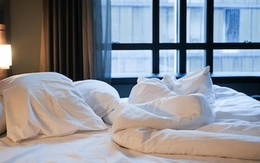 Về nhà vào buổi trưa, cô gái sốc nặng khi cảnh tượng trên giường