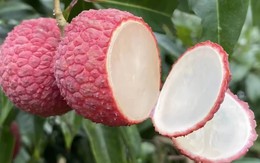 Đắt hơn cả cherry Mỹ, một loại quả quen thuộc ở Việt Nam trở thành thực phẩm xa xỉ ở Trung Quốc