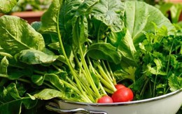 Chuyên gia vạch rõ ảo tưởng nhận biết rau có thuốc trừ sâu bằng mắt thường