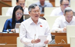 Đại biểu Quốc hội: Hàng giả ngày càng tinh vi, có sự móc ngoặc của cán bộ công quyền