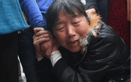 Nữ doanh nhân 52 tuổi cấu kết với nhân viên ngân hàng, chiếm đoạt gần 2.000 tỷ đồng tiền gửi tiết kiệm