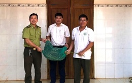 Trăn gấm quý hiếm nặng 21kg bò vào nhà dân trong đêm