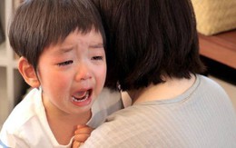 Nhờ bố chồng trông con 3 tiếng, ông mải xem livestream đá gà đến quên luôn cháu ngoài đường