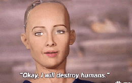 Cô nàng siêu robot Sophia từng tuyên bố “sẽ hủy diệt loài người” bây giờ ra sao?