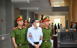 Cựu Phó Tổng giám đốc HoSE nêu thành tích học ở đại học Harvard xin giảm án