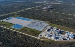 Niềm hy vọng một châu Phi “xanh”