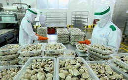 “Báu vật mới” của Việt Nam nhiều cường quốc ‘săn lùng’: Trung Quốc tăng mua 381%