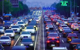 "Loài xâm lấn" từ Trung Quốc đang gây điên đảo toàn cầu: Nhưng dù sợ đến mấy, chẳng ai có thể ngăn chặn